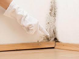 Best Mold Prevention Services  in East Syracuse, NY